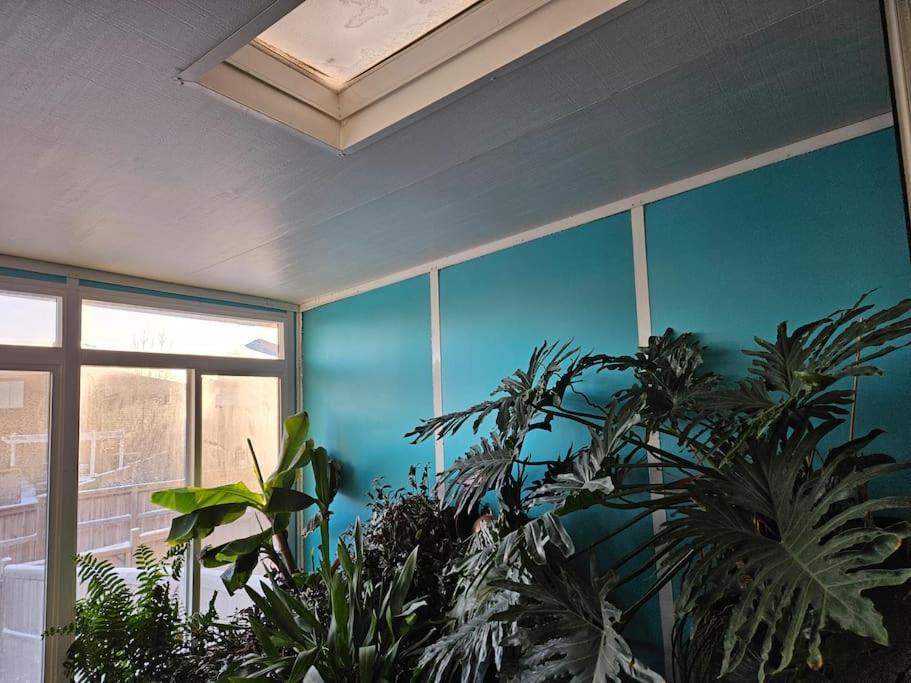 3 Bedroom Detached House Calgary